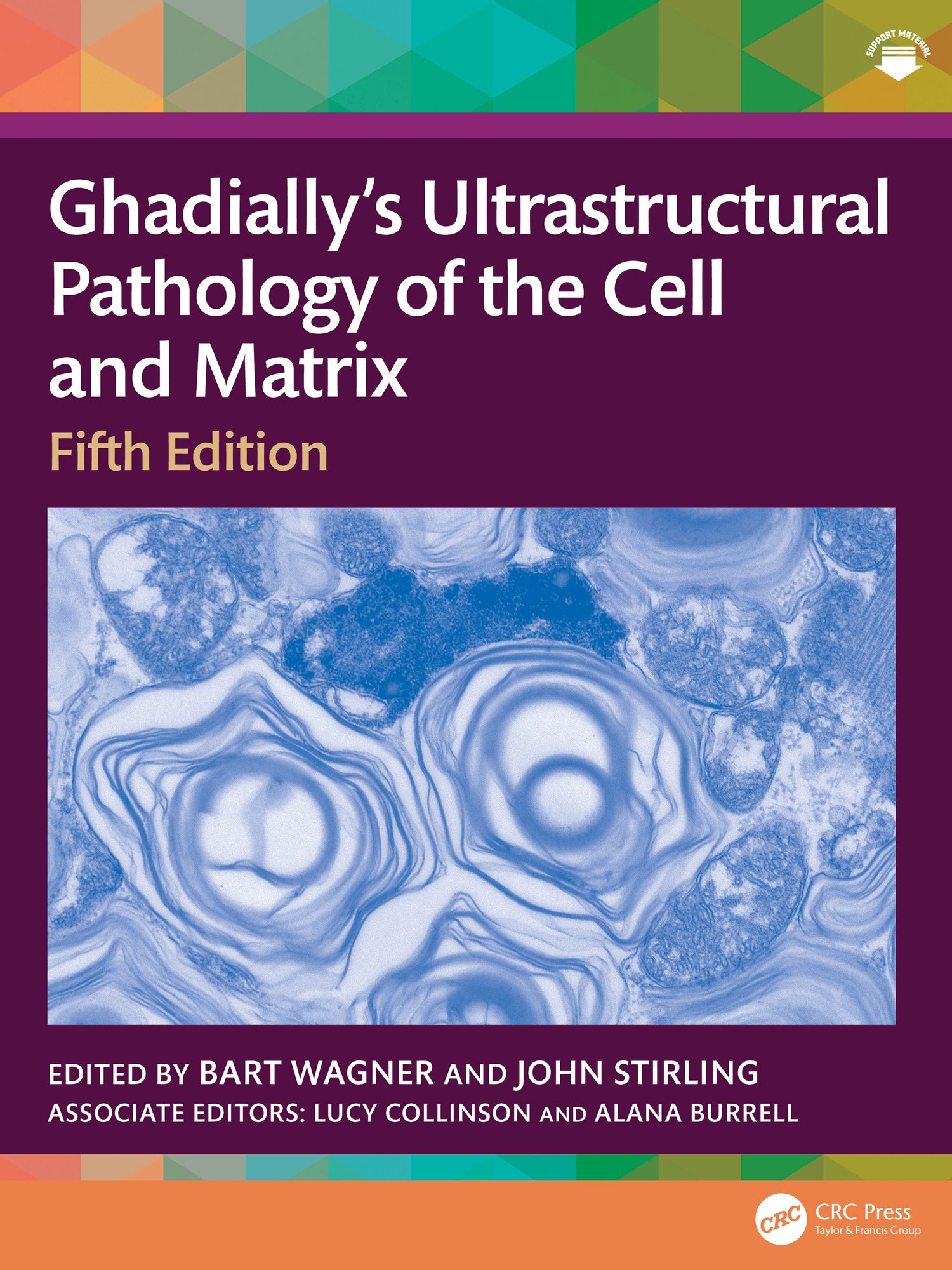 Ghadially’s Ultrastructural Pathology of the Cell and Matrix, 5th Edition (EPUB) Ghadially’s Ultrastructural Pathology of the Cell and Matrix, 5th Edition (EPUB)