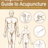 A Beginner’s Guide to Acupuncture: Treating Common Ailments through Traditional Chinese Medicine (EPUB)