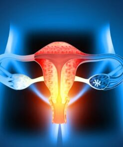 Best of Women’s Health, Module 3 (Videos + Slides)