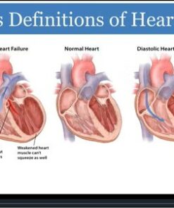 Primary Care Medicine: On Demand, Volume 6.1 (Videos + Slides)
