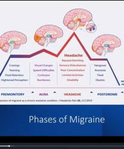 Primary Care Medicine: Volume 7.1 (Videos + Slides)