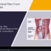 Primary Care Medicine: Volume 7.2 (Videos + Slides)