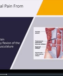 Primary Care Medicine: Volume 7.2 (Videos + Slides)