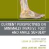 Current Perspectives on Minimally Invasive Foot and Ankle Surgery, An issue of Foot and Ankle Clinics of North America (Original PDF)