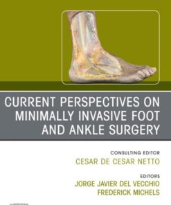 Current Perspectives on Minimally Invasive Foot and Ankle Surgery, An issue of Foot and Ankle Clinics of North America (Original PDF)