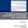 PET Image Quantification: Novel Methods, Challenges, and Opportunities, An Issue of PET Clinics (Volume 20-4) (The Clinics: Radiology, Volume 20-4) (EPUB)