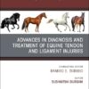 Advances in the Diagnosis and Treatment of Equine Tendon and Ligament Injuries, An Issue of Veterinary Clinics of North America: Equine Practice (Volume 41-2) (The Clinics: Veterinary Medicine, Volume 41-2) (True PDF)