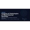 American Roentgen Ray Society Imaging of Pathologies of Male External Genitalia 2025 American Roentgen Ray Society Imaging of Pathologies of Male External Genitalia 2025