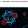 International Myeloma Society 6th Immune Effector Cell Therapies in Multiple Myeloma Workshop 2025