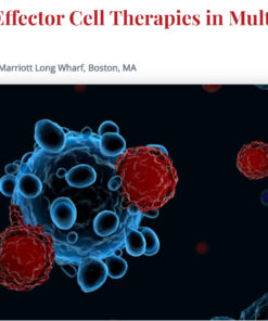 International Myeloma Society 6th Immune Effector Cell Therapies in Multiple Myeloma Workshop 2025