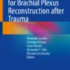 Nerve Transfers for Brachial Plexus Reconstruction after Trauma (PDF)