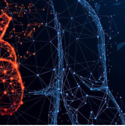 Harvard Update in Clinical Cardiology 2025 (Videos + Slides PDFs)