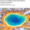 MCE Conferences Primary Care Update Adult and Pediatric Emergency Medicine 2025