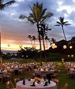 Dermatopathology in Paradise New Adnexal, Melanocytic and Soft Tissue Tumors, Cutaneous Lymphomas and More 2025 (Videos)