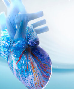 2025 Cardiovascular Online Board Review (Video)