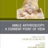 Ankle Arthroscopy: A Current Point of View, An issue of Foot and Ankle Clinics of North America (Volume 30-4) (EPUB)