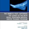 The Diabetic Foot: Capturing the Legacy of the Beth Israel Deaconess Medical Center Training Program, An issue of Clinics in Podiatric Medicine and Surgery (Volume 42-4) (The Clinics: Orthopedics, Volume 42-4) (EPUB)