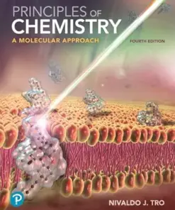 Principles of Chemistry: A Molecular Approach, 4th Edition (PDF)