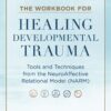The Workbook for Healing Developmental Trauma (EPUB)