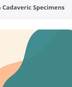 American Society for Dermatologic Surgery Hard Procedures Demonstrations on Cadaveric Specimens 2025