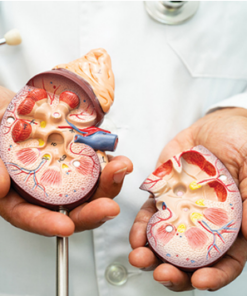 Cleveland Clinic Nephrology Update 2025 (Videos + Slides PDFs)