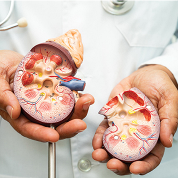 Cleveland Clinic Nephrology Update 2025 (Videos + Slides PDFs) Cleveland Clinic Nephrology Update 2025 (Videos + Slides PDFs)