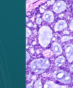 Harvard 46th Annual Current Concepts in Surgical Pathology 2025