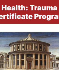 Harvard Global Mental Health Trauma and Recovery 2025