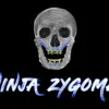 Implant Ninja Ninja Zygoma