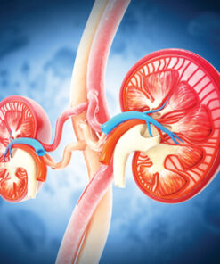 Oakstone Intensive Review of Nephrology 2025