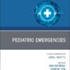 Pediatric Emergencies, An Issue of Emergency Medicine Clinics of North America (Volume 43-4) (The Clinics: Internal Medicine, Volume 43-4) (EPUB) Pediatric Emergencies, An Issue of Emergency Medicine Clinics of North America (Volume 43-4) (The Clinics: Internal Medicine, Volume 43-4) (EPUB)