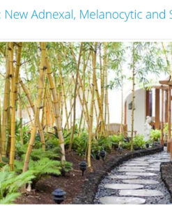 Scientific Symposiums International Dermatopathology in Paradise New Adnexal, Melanocytic and Soft Tissue Tumors, Cutaneous Lymphomas and More 2025