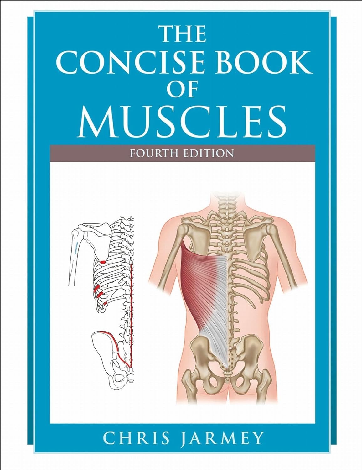 The Concise Book of Muscles, 4th Edition (EPUB) The Concise Book of Muscles, 4th Edition (EPUB)