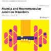 CONTINUUM Lifelong Learning In Neurology (Muscle and Neuromuscular Junction Disorders) October 2025 Volume 31 Issue 5 (TRUE PDF)