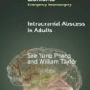 Intracranial Abscess in Adults (Elements in Emergency Neurosurgery)(PDF)