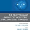 The Obstetrics and Gynecology Workforce: Challenges and Strategies, An Issue of Obstetrics and Gynecology Clinics of North America (EPUB)