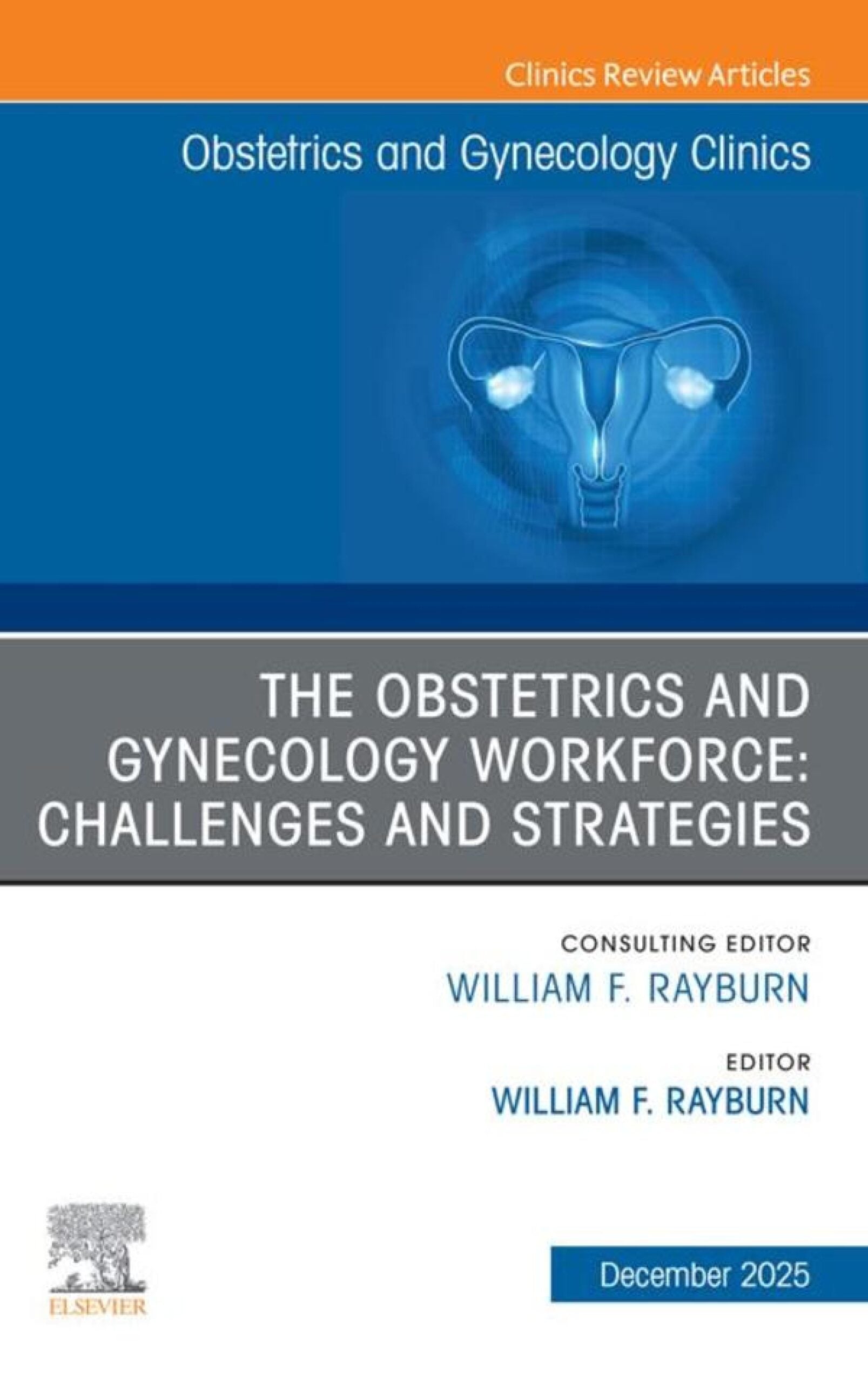 The Obstetrics and Gynecology Workforce: Challenges and Strategies, An Issue of Obstetrics and Gynecology Clinics of North America (EPUB) The Obstetrics and Gynecology Workforce: Challenges and Strategies, An Issue of Obstetrics and Gynecology Clinics of North America (EPUB)