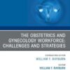 The Obstetrics and Gynecology Workforce: Challenges and Strategies, An Issue of Obstetrics and Gynecology Clinics of North America (PDF)