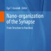 Nano-organization of the Synapse : From Structure to Function