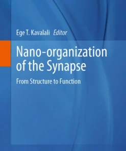 Nano-organization of the Synapse : From Structure to Function