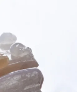 OHI-S Aesthetic Evolution 2