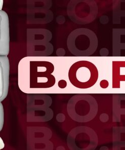 OHI-S B.O.P.T. Integrating Traditional and Digital Approaches