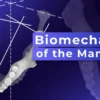 OHI-S Biomechanics of the Mandible Accurate Diagnosis for Successful TMD Treatment