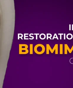 OHI-S Indirect Restoration in the Biomimetic Concept