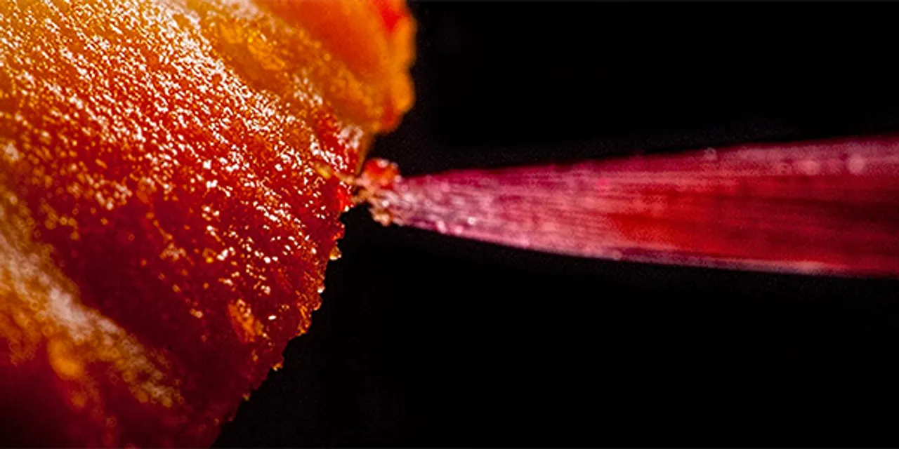 OHI-S Photography in dentistry OHI-S Photography in dentistry