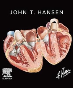 Netter’s Anatomy Flash Cards, 7th edition (EPUB)