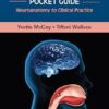 The Adult Dysphagia Pocket Guide: Neuroanatomy to Clinical Practice, 2nd edition (PDF)