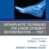Orthoplastic techniques for lower extremity reconstruction Part 1, An Issue of Clinics in Podiatric Medicine and Surgery (PDF)