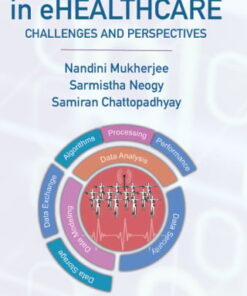 Big Data in ehealthcare (EPUB)