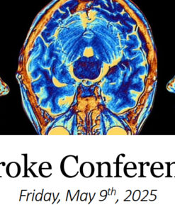Carle Health System Stroke Conference 2025